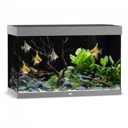 Aquarium RIO 290 - Juwel