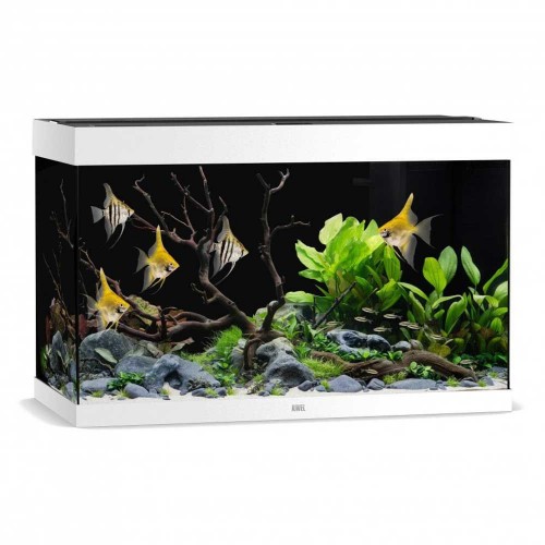 Aquarium RIO 290 - Juwel
