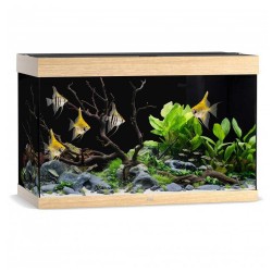Aquarium RIO 290 - Juwel