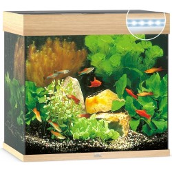 Aquarium de Lido 120 LED - Juwel