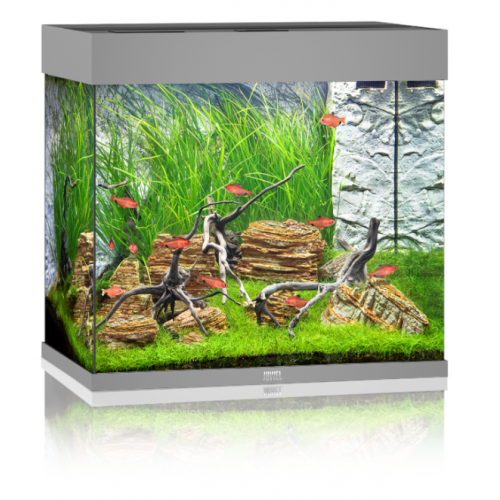 Aquarium de Lido 120 LED - Juwel