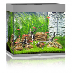 Aquarium de Lido 120 LED - Juwel