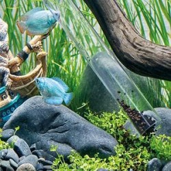 EDEN PDG 60 (formerly Eden 501) Gravel Cleaner