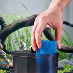 Sponge de filtre de remplacement pour Eden PDG 60