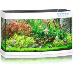 Acquario Vision 180 Led - Juwel