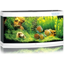 Acquario Vision 260 Led - Juwel