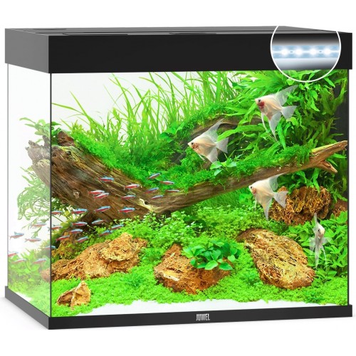 Acquario Lido 200 - Juwel