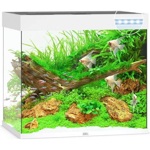 Acquario Lido 200 - Juwel