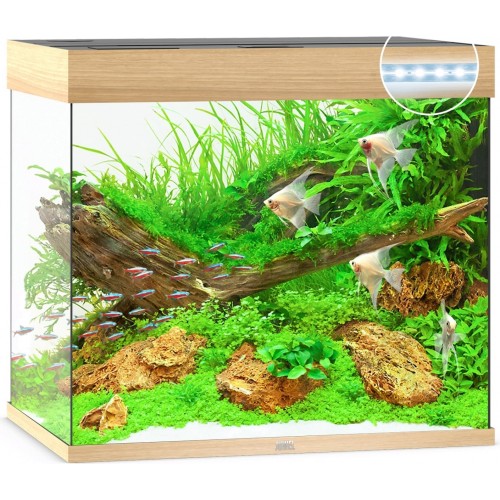 Acquario Lido 200 - Juwel