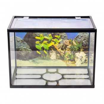 AQPET ONE MINI AQUARIO IN COMPLETE GLASS 20 LITERS 2