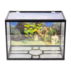 AQPET ONE MINI AQUARIO IN COMPLETE GLASS 20 LITERS