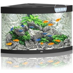 Acquario Trigon 190 Led - Juwel