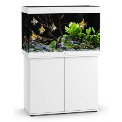 copy of Aquarium Rio 240 LED Juwel with support