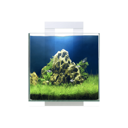 Cyano Nexus Pure 15, Baignoire Aquarium - Askoll