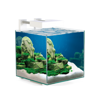 Cyano Nexus Pure 15, Baignoire Aquarium - Askoll 2