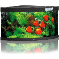 Acquario Trigon 350 Led - Juwel