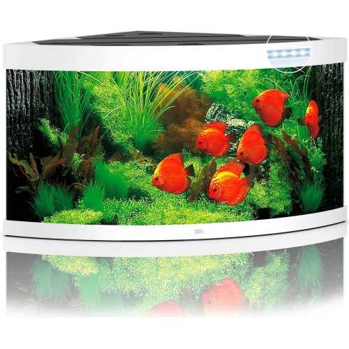 Trigon Aquarium 350 LED - Juwel