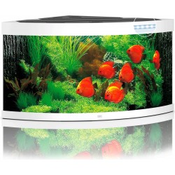 Acquario Trigon 350 Led - Juwel