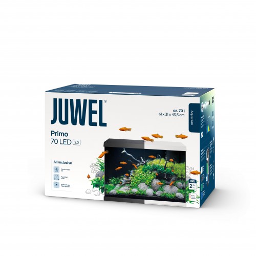 First Led 70 black Juwel