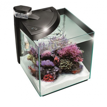Newa Plus 30 récif, aquarium marin 28 l - Newa 2