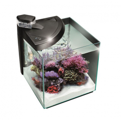 Newa Plus 50 récif, Aquarium Marino 45 L - Newa