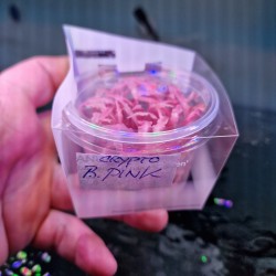 Cryptocoryne balanse rose en coupe - Aquaflora