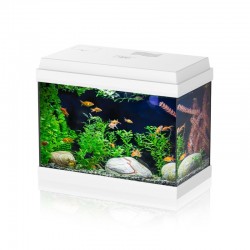 Simply Led 30 Set acquario da 30L completo di luce LED, filtro e materiali filtranti - Aqpet