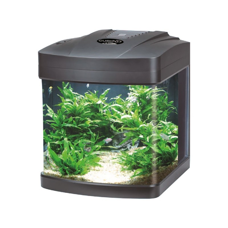 Cubino Blu Bios a led 26 l.