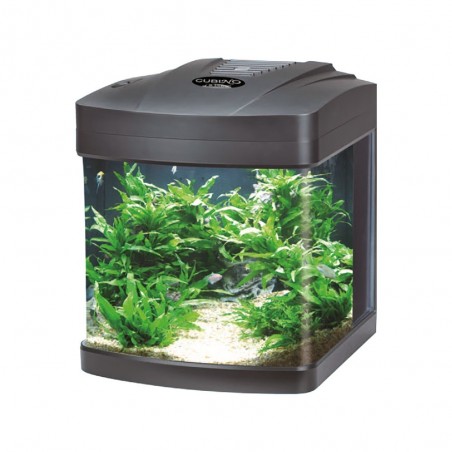 Cubino Blu Bios a led 26 l.