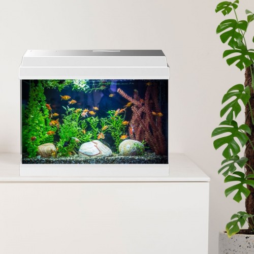 Simply Led 30 Set acquario da 30L completo di...
