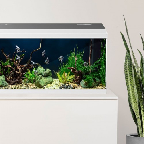 Simply Led 60 Complete aquarium