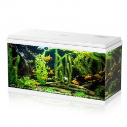 Simply Led 100 Complete aquarium