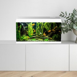 Simply Led 100 Acquario completo - Aqpet