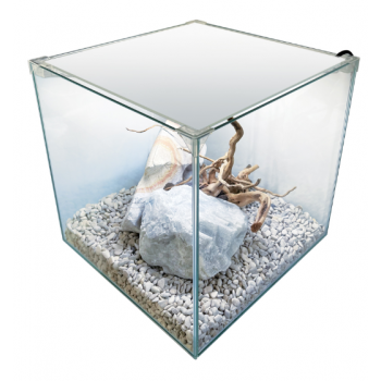Newa Tank 20, aquarium en cristal cubique pour Neofiti -...