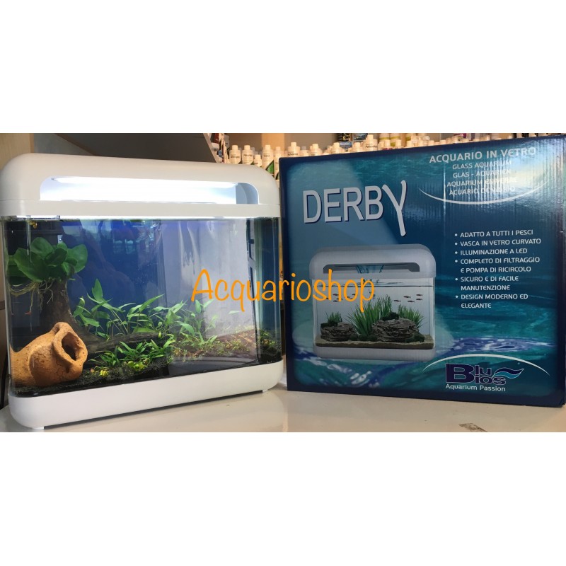 Cubino Nero Blu Bios 