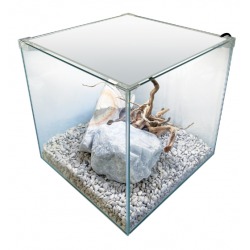 Newa Tank de l'ego 50, aquarium en cristal cubique pour néophytes - Newa