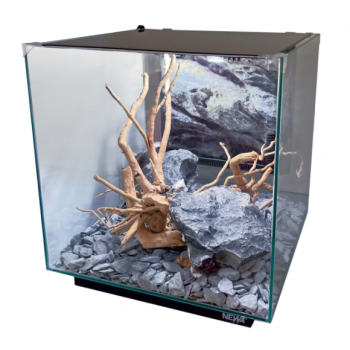 Newa Tank de l'ego 50, aquarium en cristal cubique pour... 2