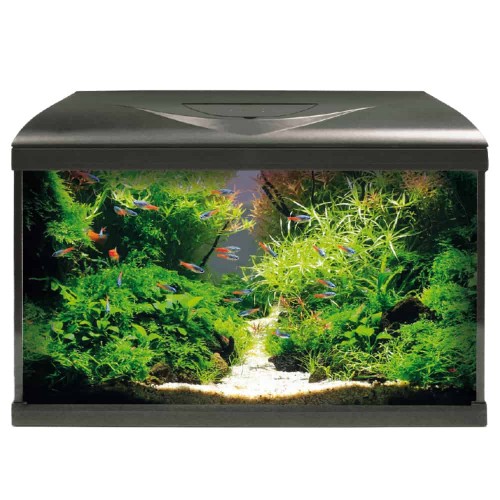 AMTRA SYSTEM TANK V2 60 LED Nero