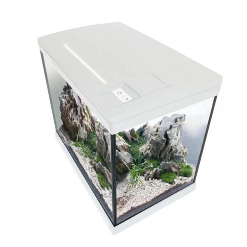 Mirabello 60 Young MF, aquarium en verre...