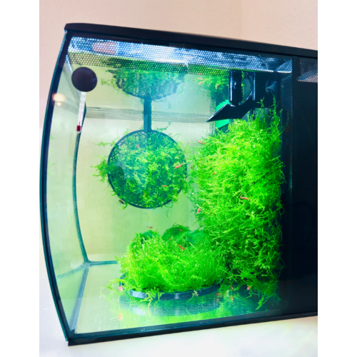 Skimmer di superficie Moby per Fluval Flex -...