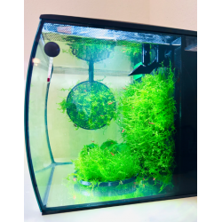 Skimmer di superficie Moby per Fluval Flex - Moby Lab