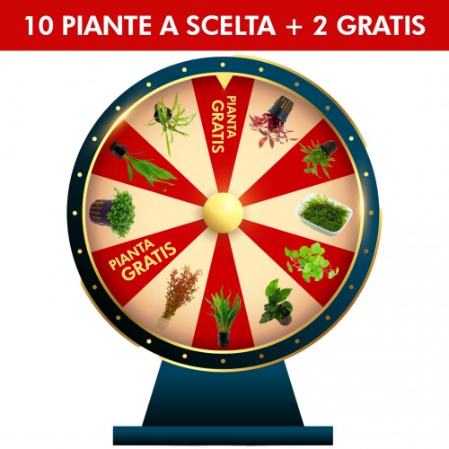 Kit 10 plantes choisies par l'expert +2 usines...