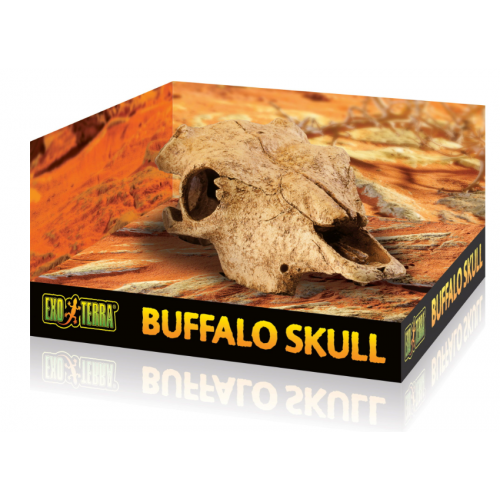 Buffalo skull, hideout for reptiles and...