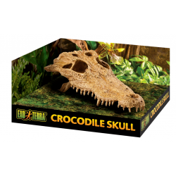 Crocodile Crâne, cachette pour les reptiles et les amphibiens - Terre exo