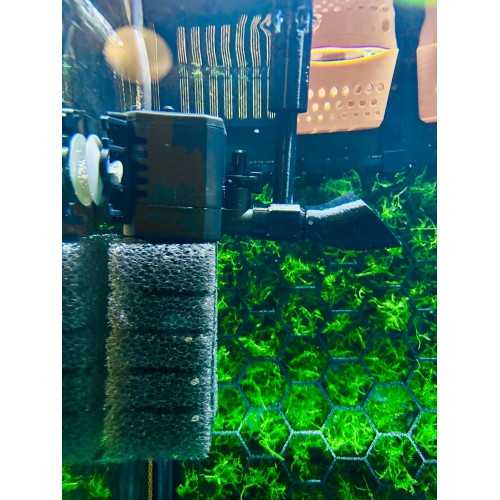 Skimmer di Superficie Moby Lab per Aquael Pat...