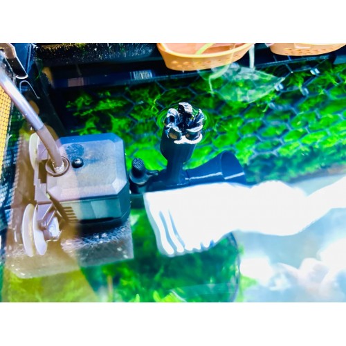 Moby Skimmer per Aquael Pat Mini, Skimmer di...