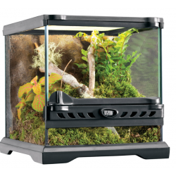 Glass Terrarium Nano, glass terrarium for reptiles - EXO land
