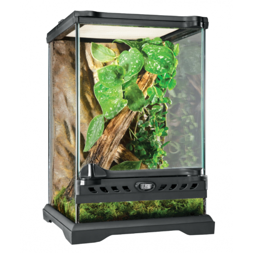 Glass Terrarium Nano, terrario in vetro per...