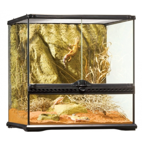 copy of Glass Terrarium Nano, terrario in vetro...
