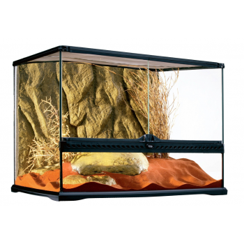 Glass Terrarium Wide, terrario in vetro per rettili - Exo... 2